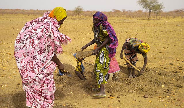 Un grupo de mujeres, las llamadas 'termitières' chadianas, busca grano en en un hormiguero. | L. B. B.