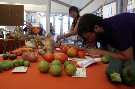 Expositores participantes en la I Feria de La Biodiversidad celebrada en Segovia.| Rosa Blanco