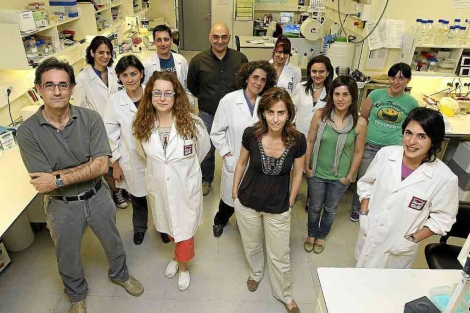 Varios miembros del Bioforge en el laboratorio donde realizan los ensayos. | J.M. Lostau