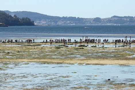 Las mariscadoras recogiendo algas a pie en la zona de Campelo. | N. P.