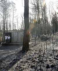 Una de las pinadas afectadas por el fuego en Ontinyent | Efe