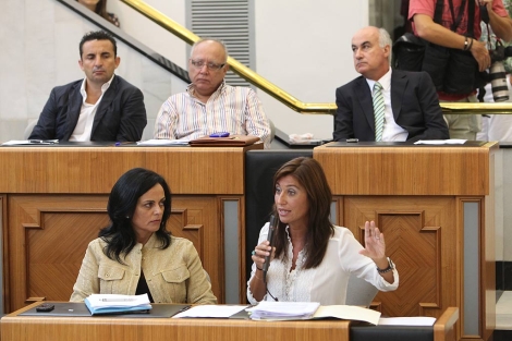 Mnica Lorente ha defendido la postura del PP respecto al Plan Zonal. | Ernesto Caparrs