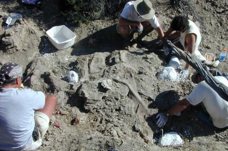 Los paleontólogos, durante las excavaciones. | Museo de Historia Natural de Utah.