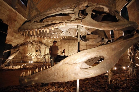 Un joven contempla, en Córdoba, el enorme esqueleto de un dinosaurio. | Madero Cubero