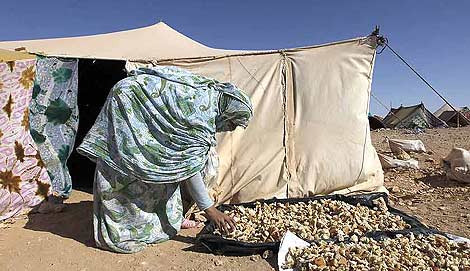 Una mujer saharaui recoge pan en el campamento. | Reuters