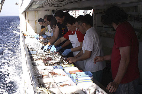 Miembros del Centro Oceanogrfico durante una campaa de investigacin | IEO