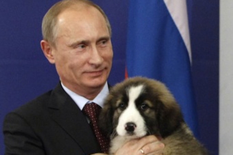 Vladimir Putin y su nueva mascota, todava sin nombre. | AP