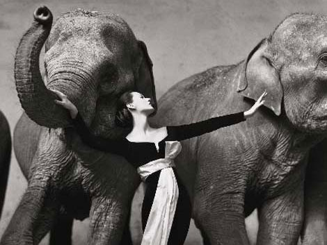Detalle de 'Dovima con elefantes'. | Avedon/Christie's