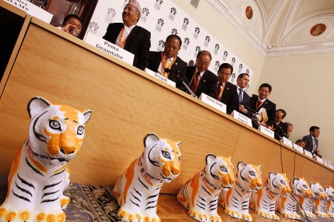 Cumbre Global del Tigre. | Foto: Ap