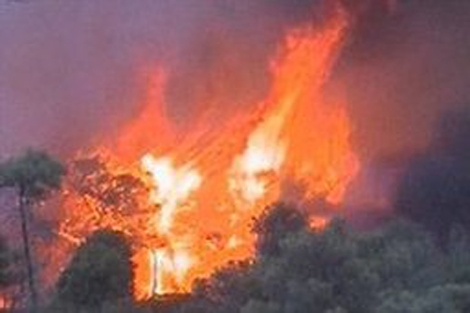 El incendio en el monte Carmelo, en los alrededores de Haifa. | Reuters