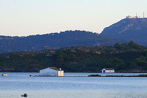 Vista de la isla de Menorca | Consell de Menorca