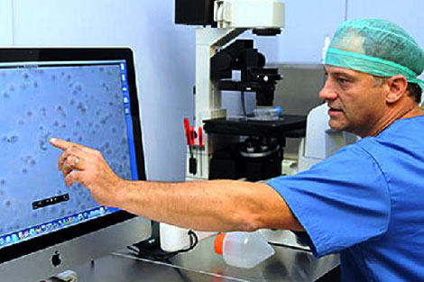 El investigador Ramn Llull, del centro STEM Center, muestra las clulas madre extradas del tejido adiposo | Pep Vicens
