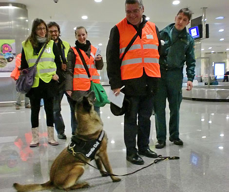Exhibicin de los perros de la Guardia Civil en el aeropuerto de Mahn