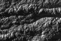 "Rayas de tigre" en Encélado. | NASA,JPL,SSI