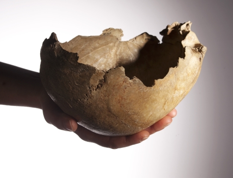 Uno de los cráneos usados como cuencos. | Museo de Historia Natural