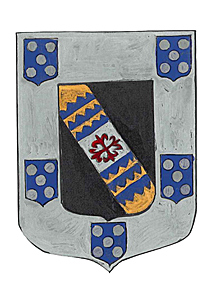 Escudo del conde de Valencia de Don Juan.