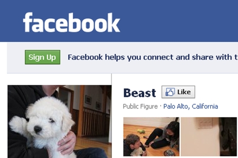 Pantalla de la pgina de Beast, el perro de Mark Zuckerberg, en Facebook.