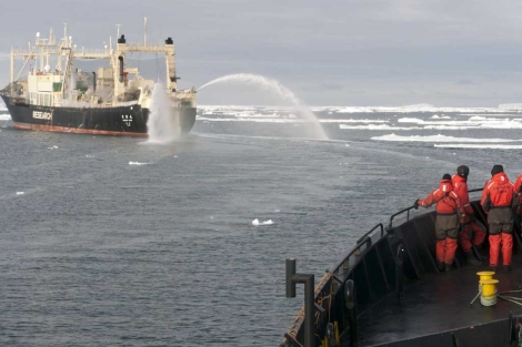 Imagen de archivo del barco de Sea Shepher (d) frente al ballenero Nisshin Maru. (i)| AFP