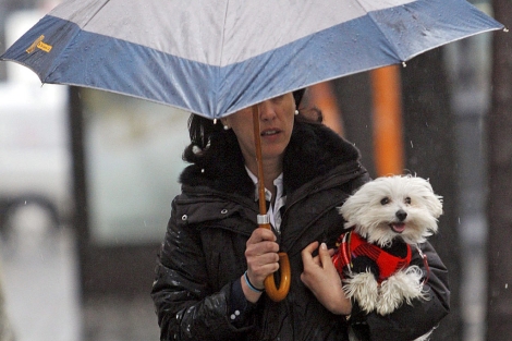 Una mujer y su perro se protegen de la lluvia en Valencia. | Efe