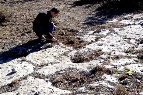 Huellas de los dinosaurios descubiertas en Teruel. |Dinpolis