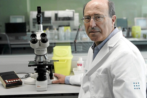 Juan Besalduch, responsable del grupo de Clínica y Biología de las Neoplasias Hematológicas del IUNICS.| Jordi Avellà