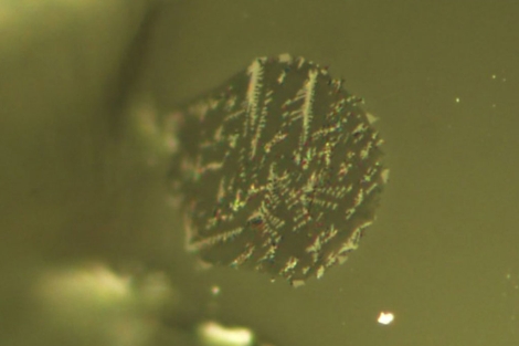 Vista microscpica de un fragmento de lava lunar.| 'Science'