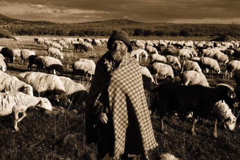 Un pastor soriano | Foto: J. Muoz Monge