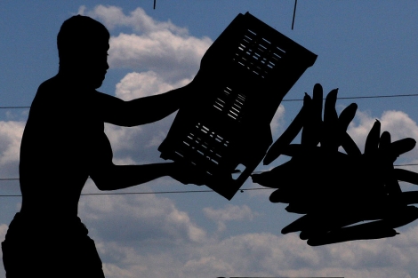 Un trabajador agrcola desecha una caja de pepinos, en Bucarest (Rumana). | Efe