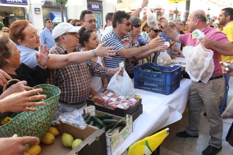 Reparto de frutas y hortalizas gratis en calle Larios. | A. Pastor