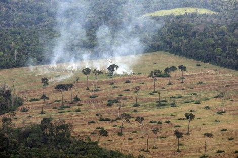 Imagen de una parcela quemada en el Amazonas. | Jose F. Ferrer