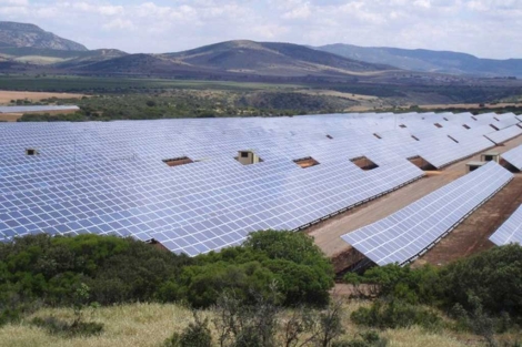 Parque solar fotovoltaico de Renovalia en Puertollano. | Renovalia.