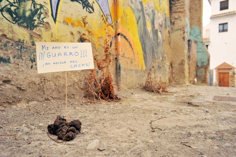 Un cartel junto a excrementos de perro en el barrio del Albaicn. | Jess G. Hinchado