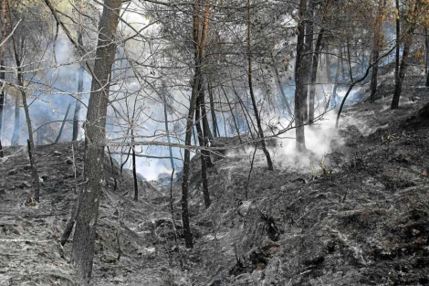 Zona afectada por el incendio forestal. | Efe