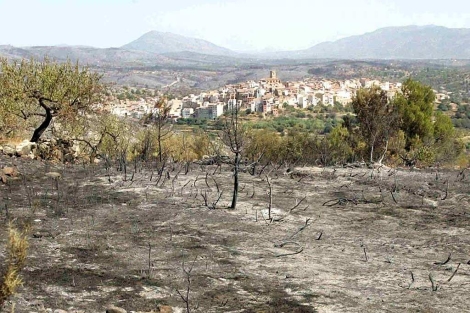 El fuego arras trminos municipales de Les Useres, Costur y Llucena. | Juan Mart
