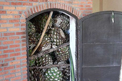 Horno de tequila en una hacienda de Jalisco, Mxico. | S. Shebs