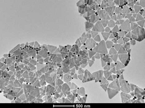 Nanopartculas de oro empleadas en la investigacin del transporte de frmacos a la clula.| INA