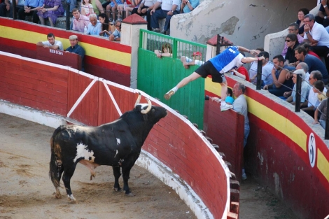 El toro Ratn en las fiestas de Vilafranca el verano pasado. | E.M.