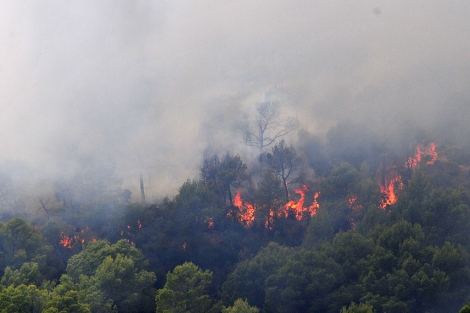 Imagen de un incendio en Peguera el pasado 11 de agosto | A. Vera