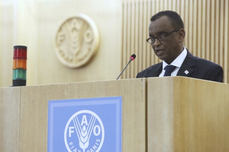 El viceprimer ministro somal en una intervencin en la pasada cumbre de la FAO.| EFE