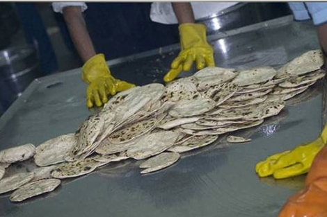 Elaboracin de chapatis, el pan traidional indio.| Divya Gupta.