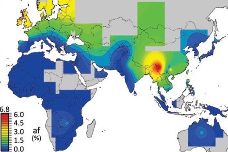 Mapa mundi con el porcentaje de herencia neandertal. De azul a rojo, de menos a más.|Science