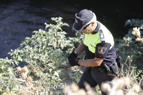 Un polica retira una planta de estramonio en Getafe. (Di Lolli)
