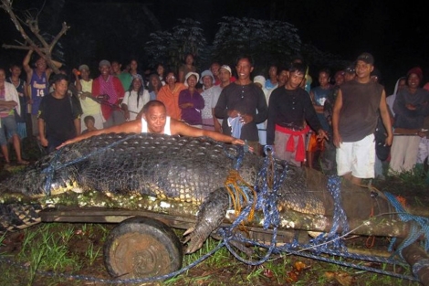 Numerosos curiosos se acercaron para ver al cocodrilo. | AFP