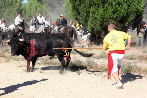 El joven scar Zamorano tras alancear al toro. | Ical
