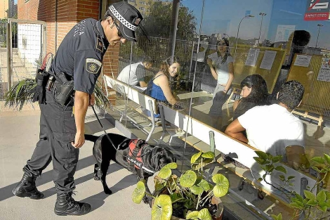 Un agente con uno de los perros en un instituto alicantino | E.M.