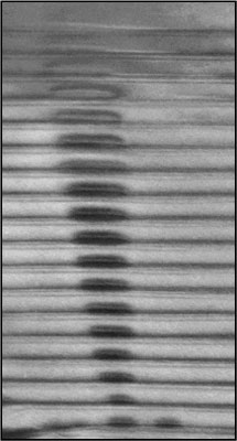 Capas apiladas de puntos cuánticos de InAs de 18 nm de espesor. | MBE del IMM-CSIC / Universidad de Cadiz.