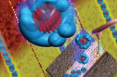 Patrones de protenas sobre superficies de silicio fabricado mediante tcnicas de nanolitografa.| R. Garca.