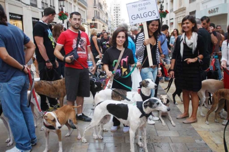 Protesta por el maltrato a los galgos en calle Larios. | A. Pastor