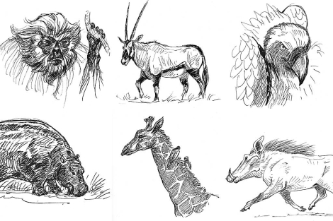 Varias ilustraciones de Miguel Aranguren para 'El arca de la isla'