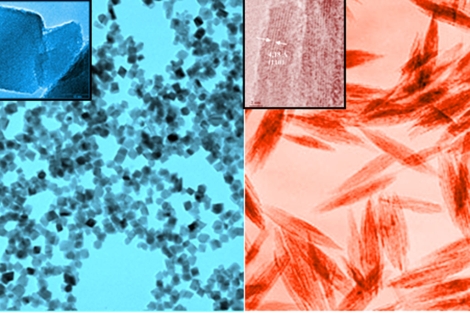 Nanopartculas de xido de hierro de diversas formas y tamaos|. P. Morales